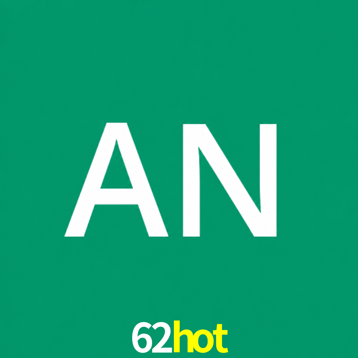 Adi Nugroho - Founder & CEO 62hot Indonesia